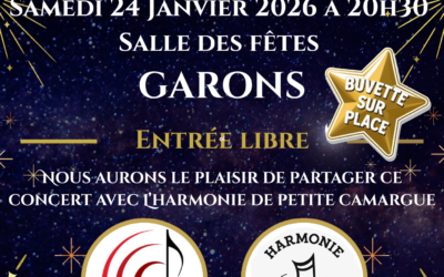 Concert du nouvel an